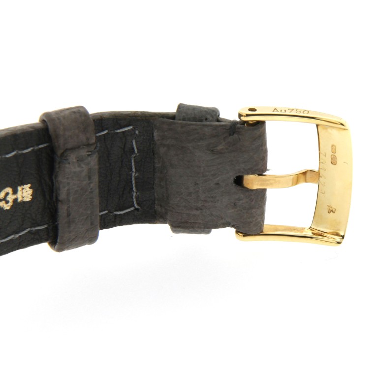 CORUM METEORITE PEARY 61.450.56 edizione numerata e limitata