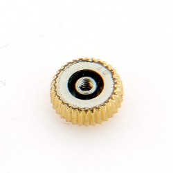 Angelus Corona impermeabile Acciaio  laminata  gialla diametro 5,3 mm, altezza 2,3 mm,  passo 120 tubo 250 2
