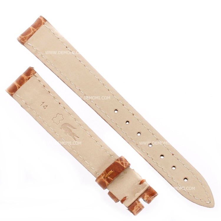 Cinturino Alligatore Marrone Gold Lucido 14/12 B30B forma classica