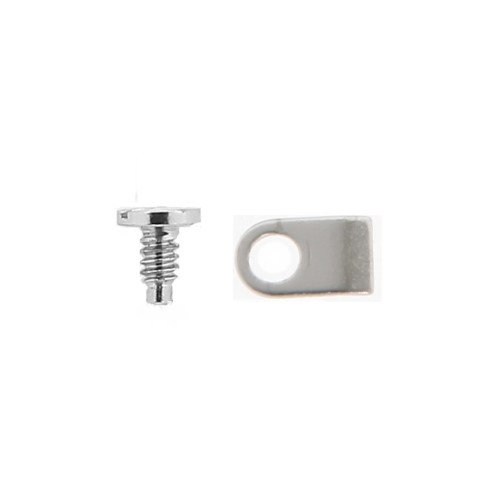 Zenith casing clamp and screw
