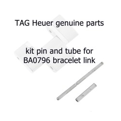 Tag Heuer kit perno e tubo per maglie bracciale BA0796 Carrera CV2A10 e simili..