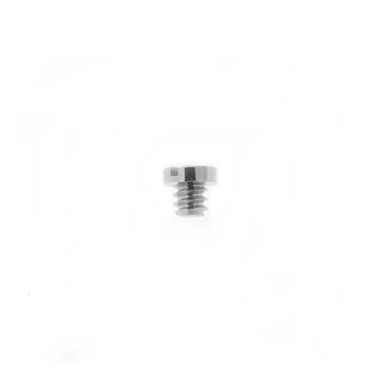 OMEGA vite di blocco o vite ferma elemento scorrevole. Per chiusura bracciali in metallo.